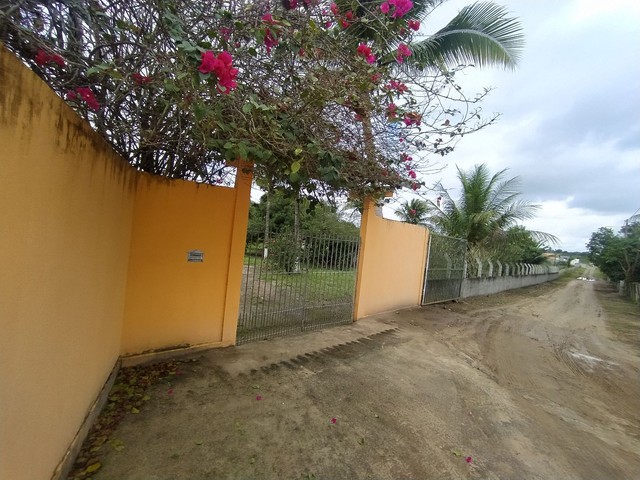 Sítio com Sete tarefas e meia na matinha  - Foto 2