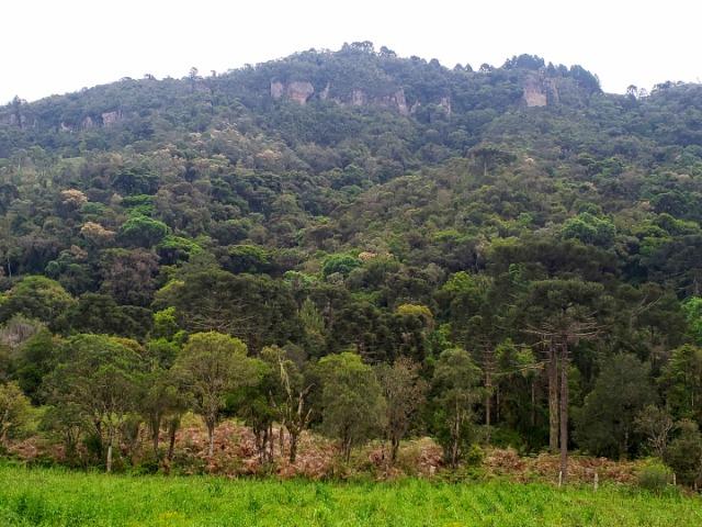 Exuberante Montanha com Rio - Foto 6