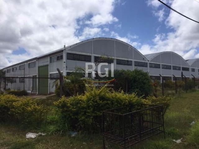 Galpão/depósito/armazém à venda em Cocão, Viamão cod:EV3369 - Foto 3