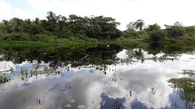 Fazenda em Iaçu-Ba - Foto 8