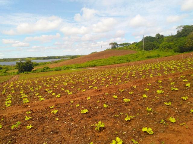 Granja em São Paulo do Potengi com estrutura