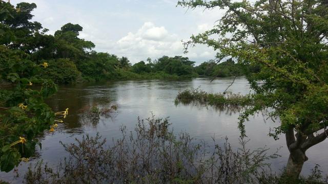 Fazenda em Iaçu-Ba - Foto 3