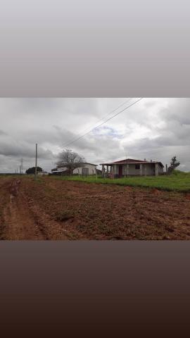 Fazenda com 380 hectares na região de macaiba - Foto 7