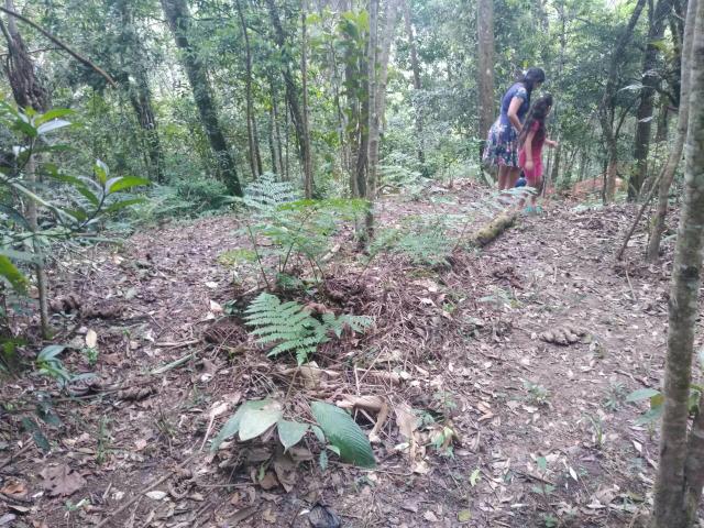 Terreno de chácara 800mt° - Foto 4
