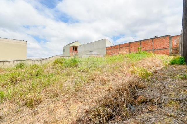 Terreno à venda em Atuba, Curitiba cod:153751 - Foto 17