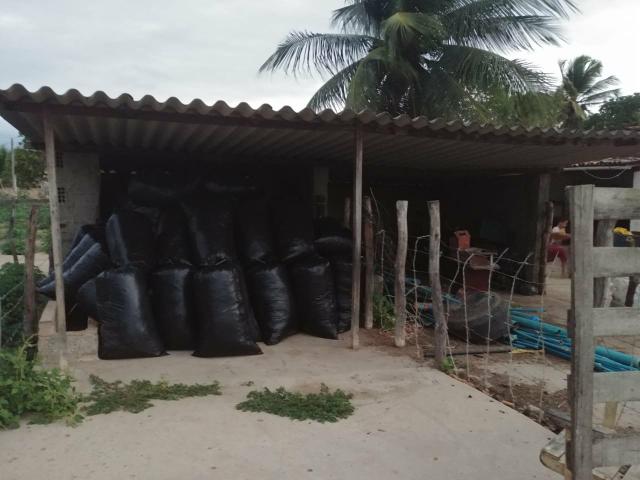 Granja com 8.8 hectares próximo da reta tabajara - Foto 11