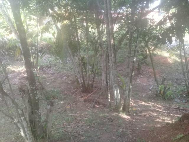 Vendo terreno ou TROCO - Foto 3