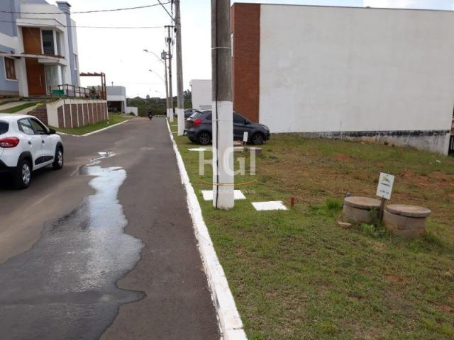 Terreno à venda em Morro santana, Porto alegre cod:MF22186 - Foto 9