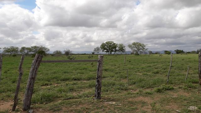 Fazenda em Iaçu-Ba - Foto 9