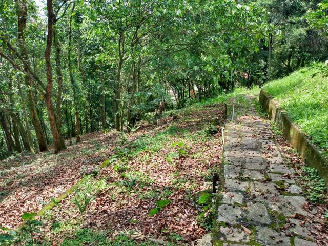 Belíssimo sítio em Guapimirim medindo 5.000m2 oportunidade!!!! - Foto 13