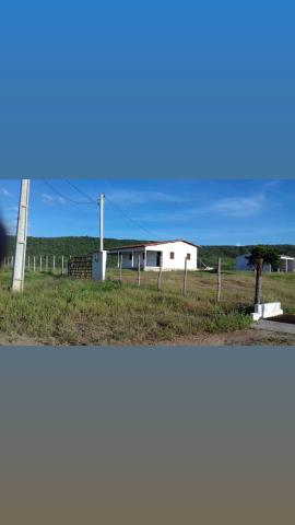 Fazenda com 150 hectares em cachoeira do sapo na br 304 zap. * - Foto 9