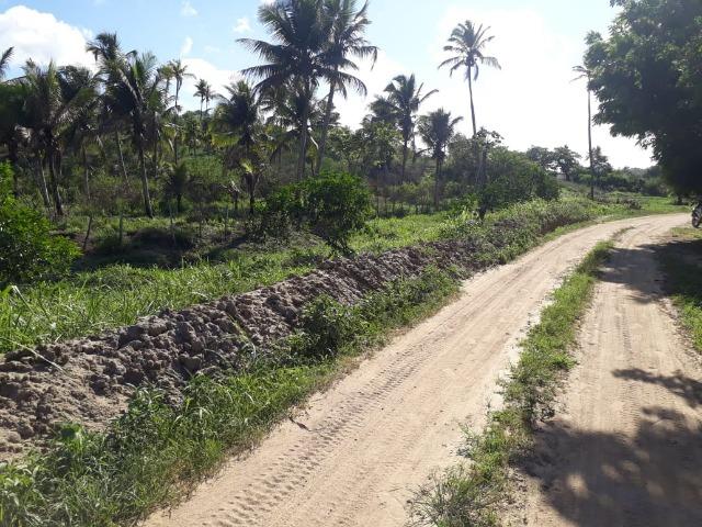 Ótima propriedade de 1.5 hectare, a 7 km da BR de Pombos-PE - Foto 12