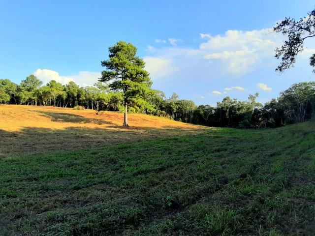 Chácara em Fazenda Souza - Foto 9