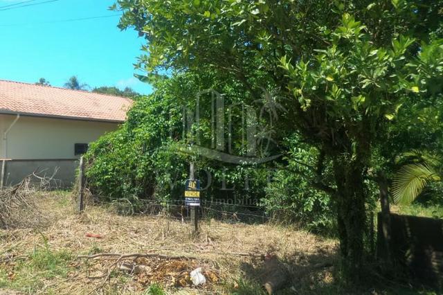 JD162 - Terreno com 532m2 a 350 metros da Praia em Balneário Piçarras - SC - Foto 5