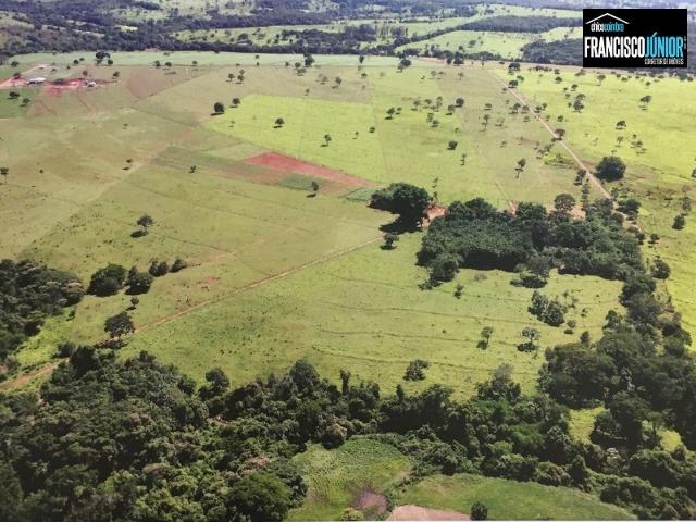 Fazenda em Piracanjuba, perto de Goiânia, 13 Alqueires de pura beleza, frente para rodovia - Foto 2