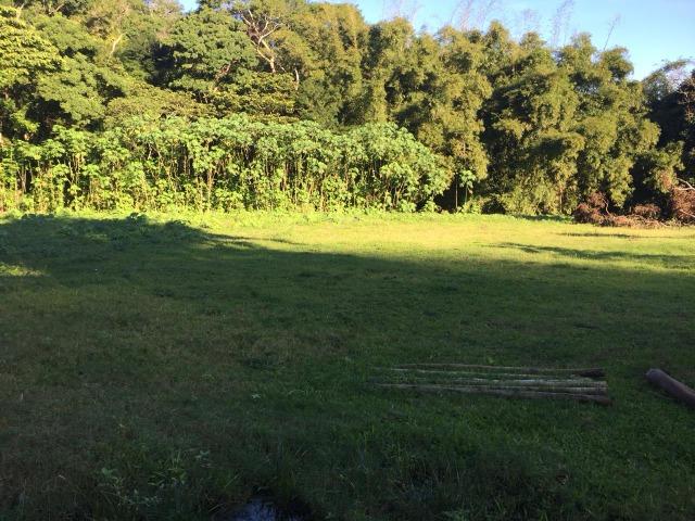 Bon: 2269 Serra do Mato Grosso - Saquarema - Foto 5