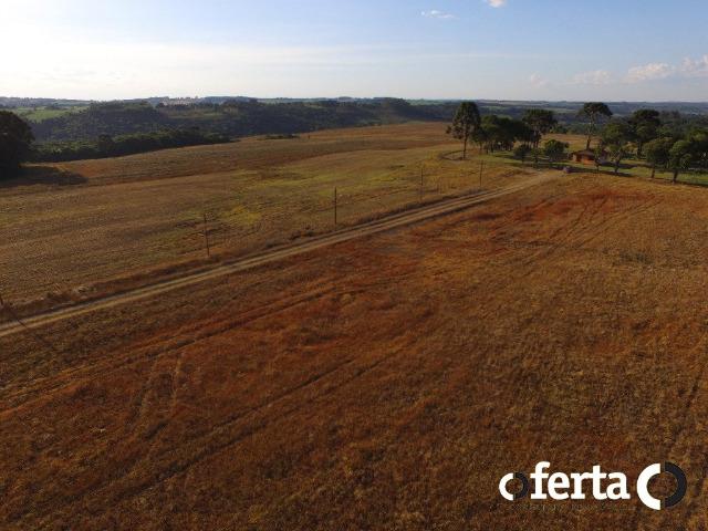 Fazenda com 54 alqueires em Mariental, na Lapa - Foto 17