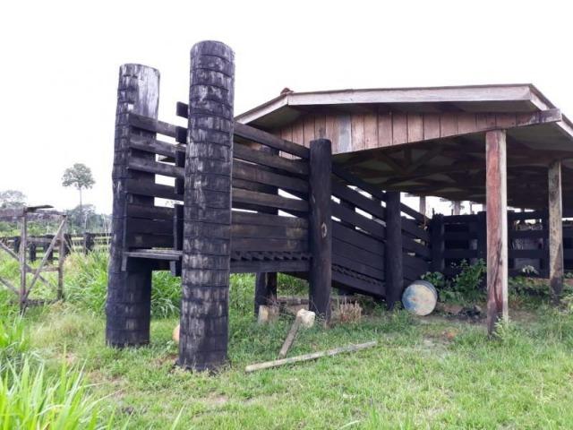 Fazenda a Venda - Machadinho - Mt - Foto 6