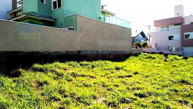 Terreno, Protásio Alves, Porto Alegre-RS - Foto 4