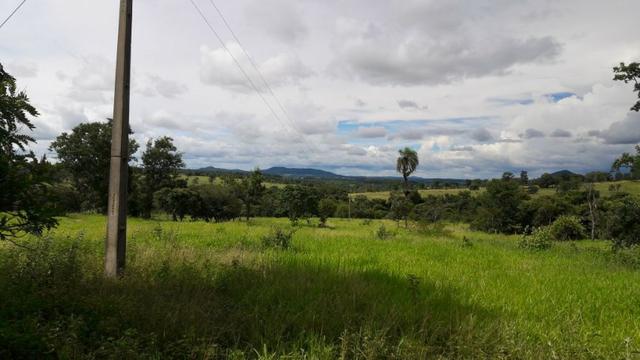 Vendo fazenda bem localizada com 726000m² - Foto 9