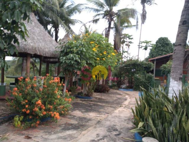 Chácara à venda, 20 hectares por r$ 1.500.000 - br-343 - altos/pi - Foto 4