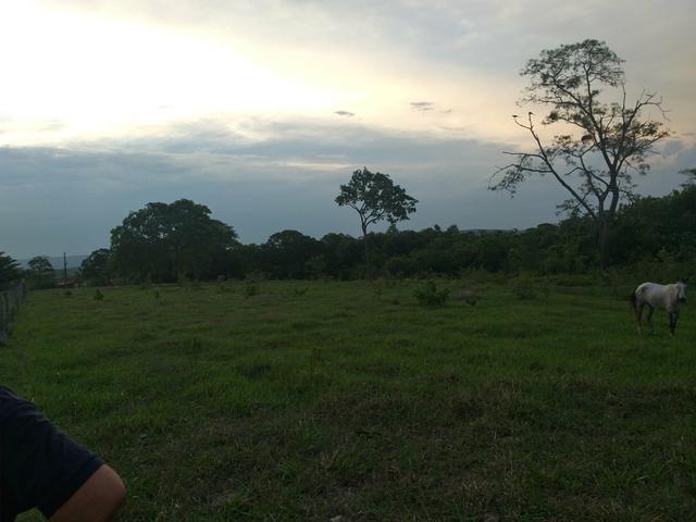 Fazenda com 2 nascentes 8 pasto 5 represas.a 28 km de caldas novas.Go - Foto 3