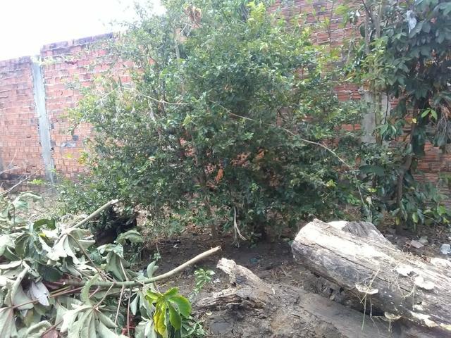 Terreno à venda - Foto 2