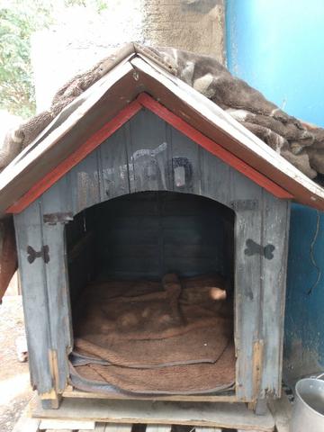 Vendo casa cachorro grande