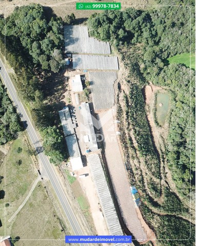 Propriedade para produção de morangos - Foto 6