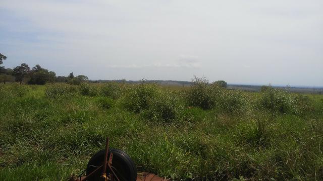 Terenos, MS linda chácara - até para morar - Foto 14
