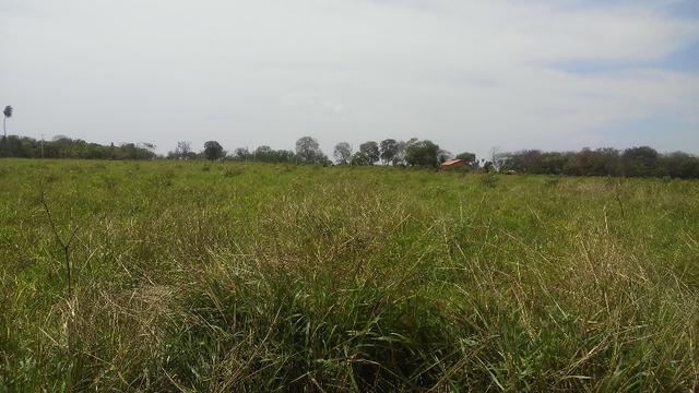 Terenos, MS linda chácara - até para morar - Foto 11