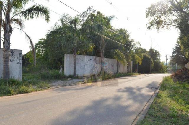 Terreno para alugar, 3100 m² por r$ 3.900/mês - santa felicidade - curitiba/pr