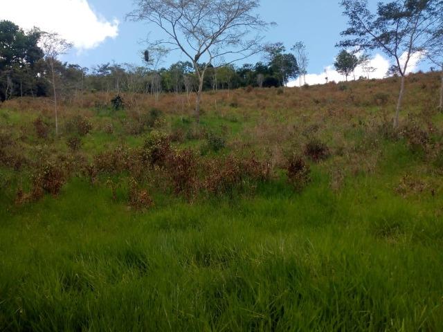 Fazenda em Ubaira-BA - Foto 9