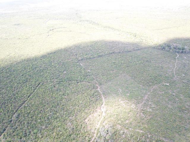 Oportunidade ! 4 mil hectares brutos de dupla aptidão, entre Codó e Caxias ! - Foto 2
