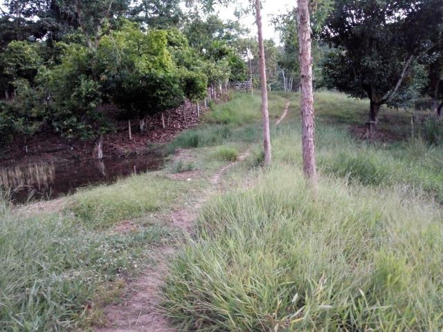 Fazenda em Ubaira-BA - Foto 5