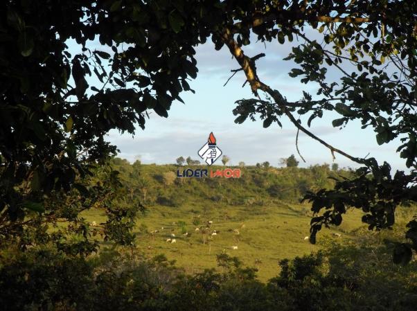 Líder imob - sitio rural para venda, pojuca, 55.000,00 m² - Foto 17