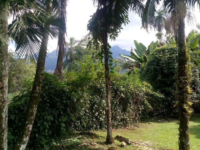 Terrenos - Porto de Cima - Morretes - Foto 12