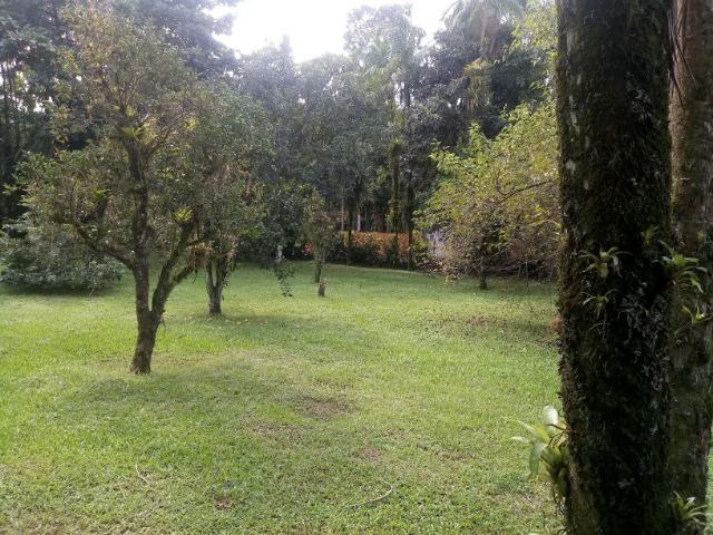 Terrenos - Porto de Cima - Morretes - Foto 18
