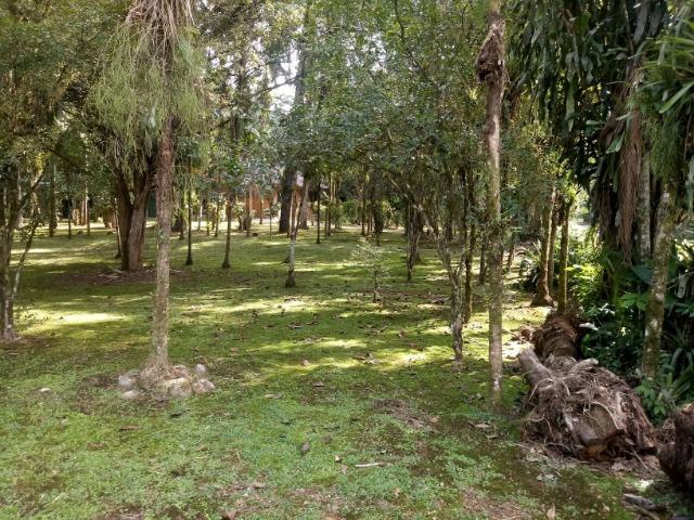 Terrenos - Porto de Cima - Morretes - Foto 3
