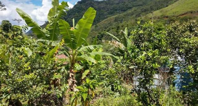 Sitio em Conceição de Macabu - Foto 12