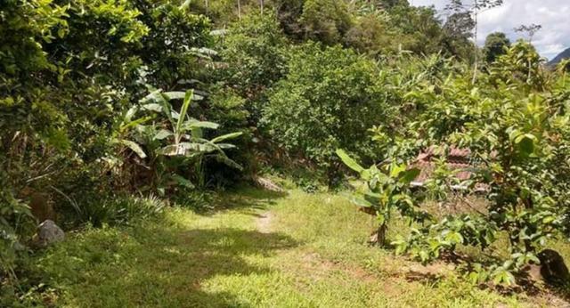 Sitio em Conceição de Macabu - Foto 5