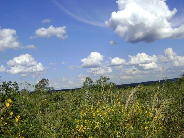 480 Alq.Tangará x Paraná, cerrado Tangará-MT