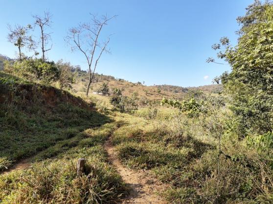 676 - Área de terra no Bugre de 29 hectares - Foto 19