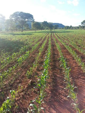Fazenda 2.686 hectares em ARINOS MG - Foto 17