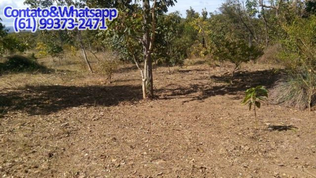 Ótima Casa Mobiliada no Lago de Serra da Mesa, Niquelândia, Goias. Aceita Carro - Foto 11