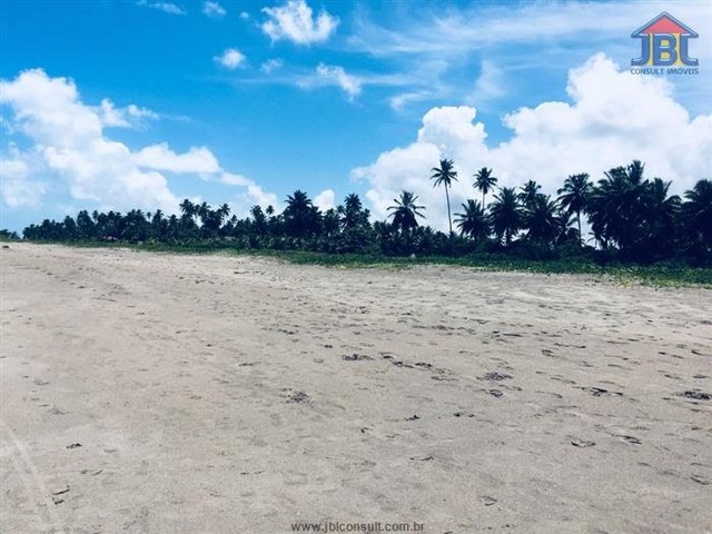 Área Comercial de Praia na Ilha da Croa  -  Barra de Santo Antônio