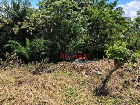 Terreno à venda, 1302 m² por r$ 140.000 - nossa senhora da vitória - ilhéus/ba - Foto 2