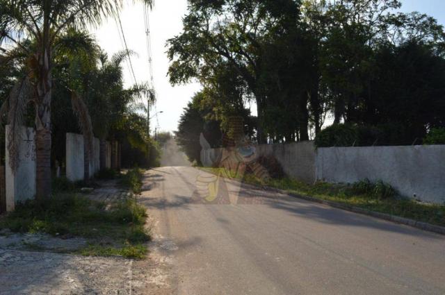 Terreno para alugar, 3100 m² por r$ 3.900/mês - santa felicidade - curitiba/pr - Foto 2