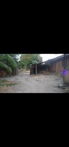 Vende se um sítio - Foto 5