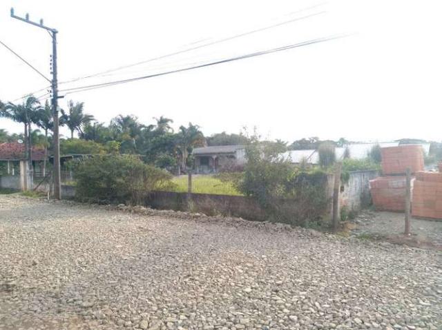 Terreno 300m da praia do tabuleiro, aceita-se carro como parte de pagamento! - Foto 5